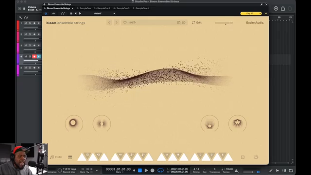 Bolo Da Producer Flips Bloom Ensemble Strings: Strings for the Streets