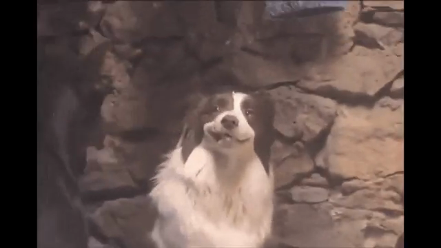 AudioPilz Takes On The OP-1 Field Fiasco