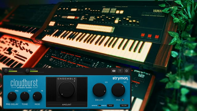 VultureCulture Unveils the Sonic Majesty of Strymon Cloudburst
