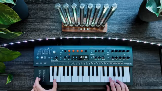 Arturia reached out and offered to send me a Mini-Freak, which is super cool.