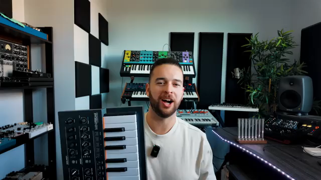 Every single parameter is modulatable or assignable to the macros.