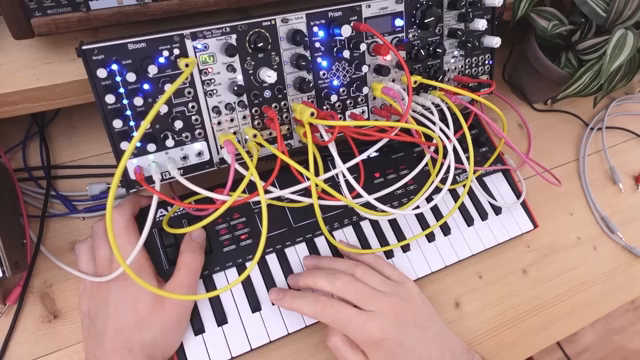 MonotrailTechTalk’s Eurorack Odyssey: Charting the Path for New Modular Explorers
