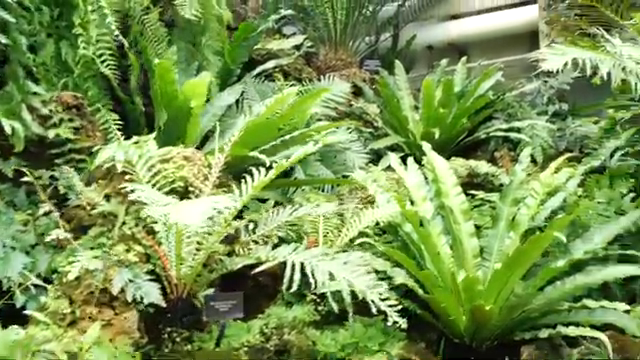 I've done a lot of multi-channel and spatial audio work in the past.