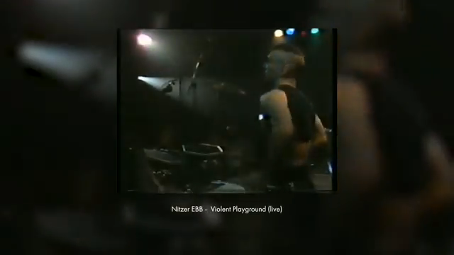 The iconic bass sound from Nitzer EBB's That Total Age really caught my interest.
