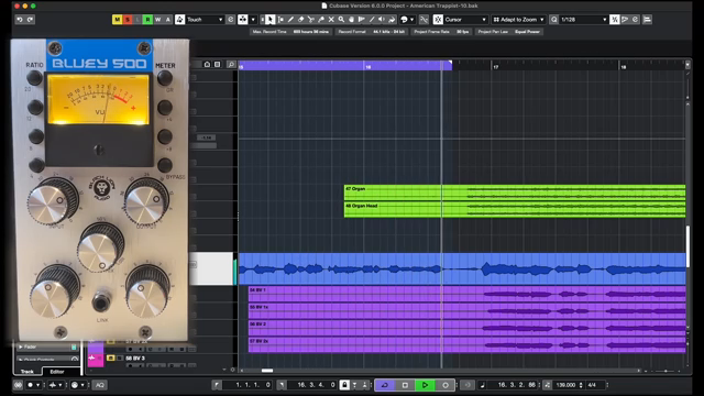 Andrew Chapman Creative Dives Into the Black Lion Audio Bluey 500