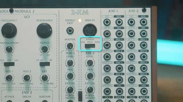 It's pretty cool. And you've got a duophonic mode for two notes polyphony.