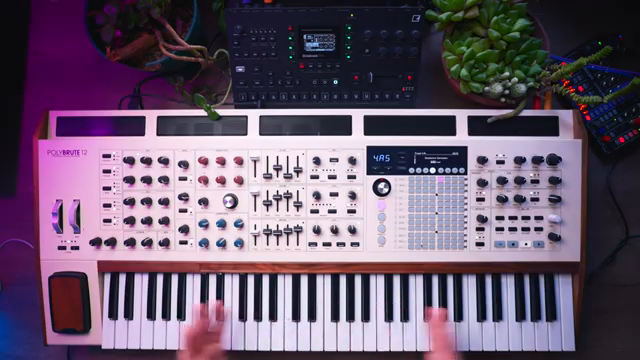 The Midlife Synthesist Unleashes the PolyBrute 12: One Year In, Still a Sonic Street Weapon