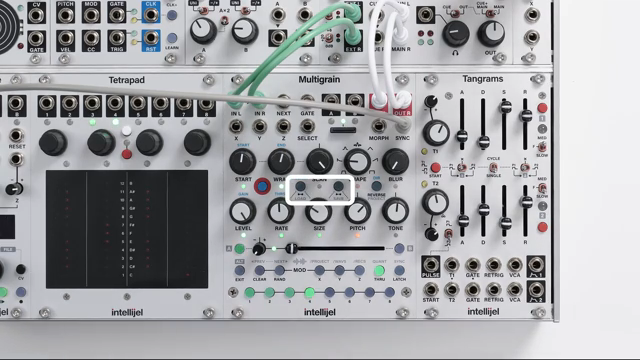 Intellijel Multigrain: Clocking Chaos and Grain Discipline