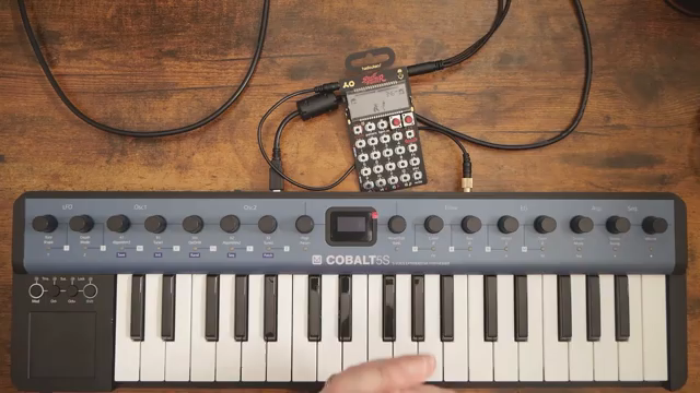 The PO-33 is the best piece of electronic music gear you can buy for under 100 US dollars.
