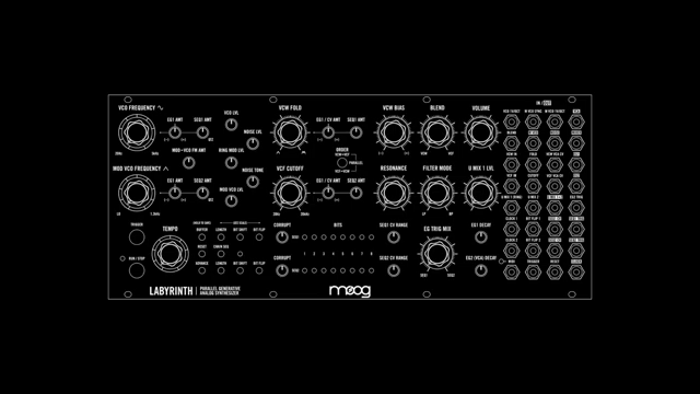 Labyrinth is a fusion of East and West Coast synthesis. Labyrinth kind of gets to live in both of those worlds.