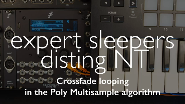 From firmware 1.11, the Poly Multisample algorithm on the disting NT lets you bring samples back with crossfade loops, allowing you to get…