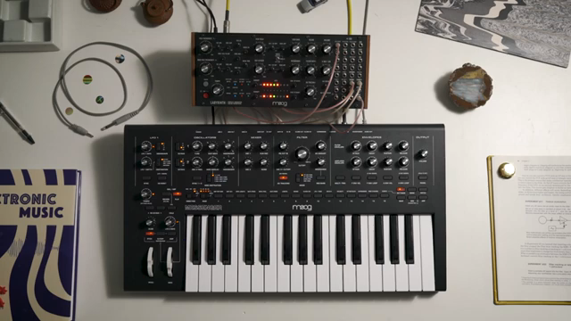 This relationship can exponentially expand, developing into an ecosystem that offers you all sorts of ways to explore and might even…