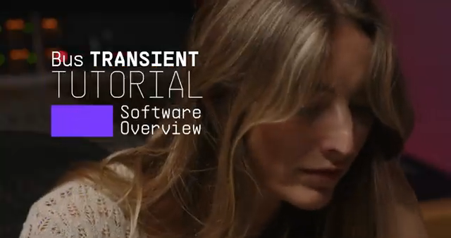 Bus Transient is a precision dynamics tool that gives you instant control impacting the attack and body of each sound.