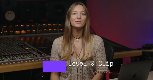 Bus Transient also features a versatile clipper that lets you monitor input and output levels while shaping both the signal's peak and…