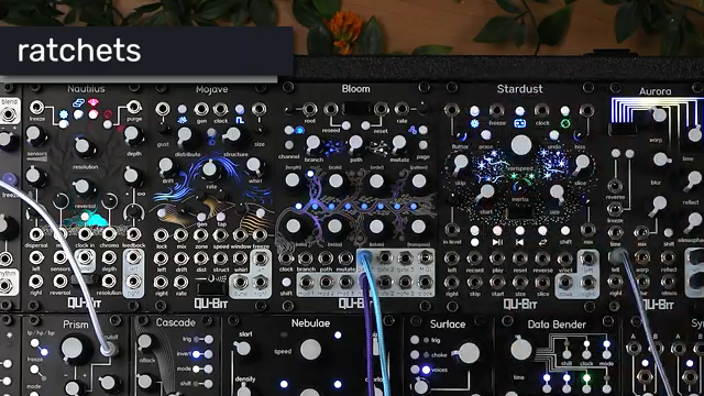 Qu-Bit’s Bloom v2: Cultivating Complexity in Modular Sequencing