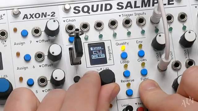ALM TV Breaks Down the Squid Salmple: Sync, Slice & Stretch in Eurorack