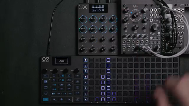 OXI Instruments: Building a Modular Powerhouse—E16, One MKII and Coral in Cohesion