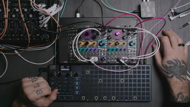 Using our ecosystem of sequencer and modules can give you a lot of power in a very, very small footprint.