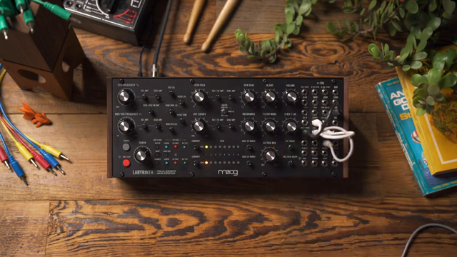 Moog Music Labyrinth: Sequencers in Conversation