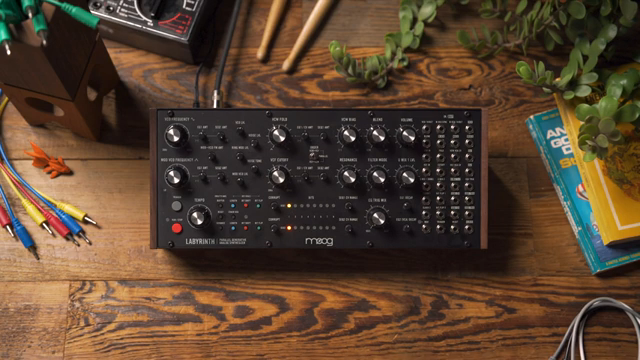 We're going to look at some of the interesting ways that we can make Sequencer 1 and Sequencer 2 interact with each other.