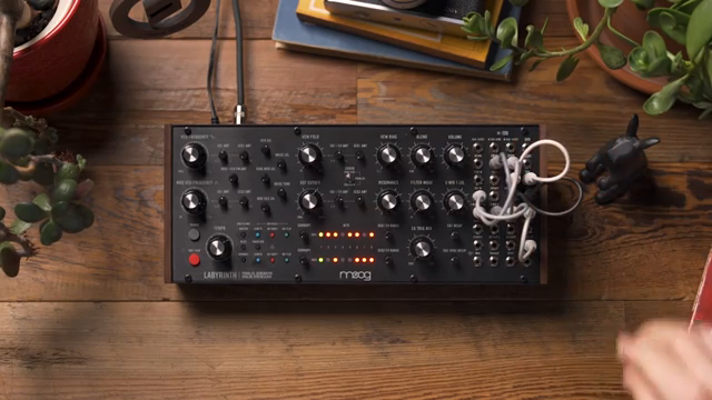 So that the VCA on the filter path is controlled by EG2, and the VCA on the wave folder path is controlled by EG1.