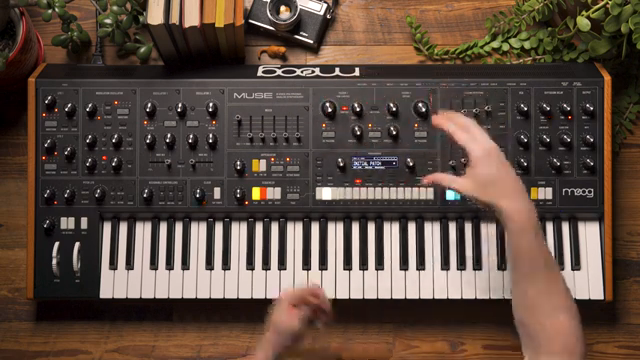 We have a link filters button which allows us to link the cutoff sweeps of both filters.