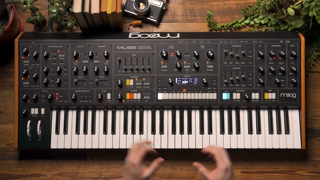 Muse into something that feels like a digital modular synthesizer.