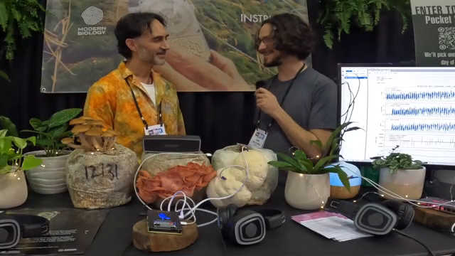 We're taking electrical fluctuations in the living world and turning them into sound.