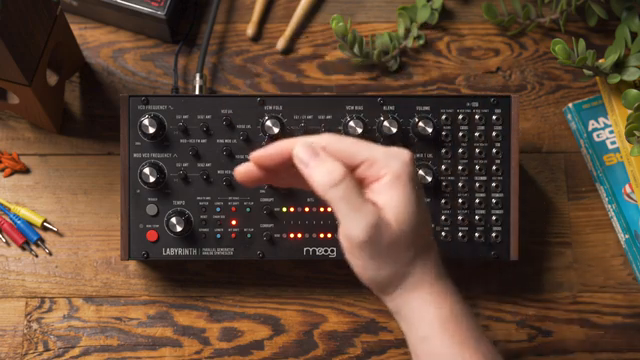 Moog Music Labyrinth: A Patch Designer’s Playground of Voice Architecture