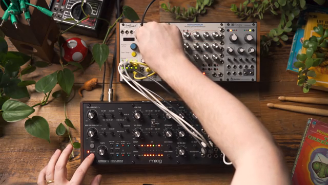 By integrating an external modulation and clocking source, I'm able to greatly modify the way that Labyrinth works and can explore some…