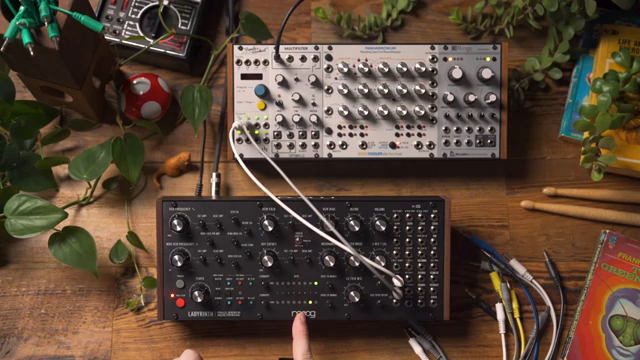 Moog Music Labyrinth: External Clocks, Alien Rhythms and Modular Mayhem