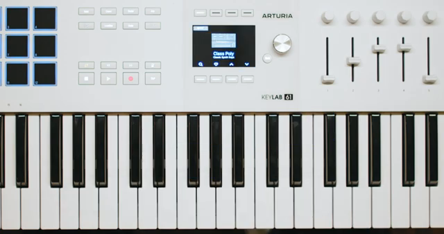 This function allows you to play chords and multiple notes with just one finger.