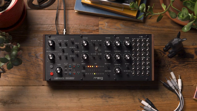 Moog Music’s Labyrinth: Sequencer Basics and Generative Rhythms Unveiled