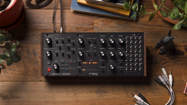 Every time you flip a bit in Labyrinth's sequencer on, a random voltage is generated between negative five and positive five volts and…