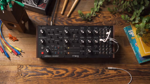 Moog Music Labyrinth: Percussive Patching and Drum Machine Deconstruction