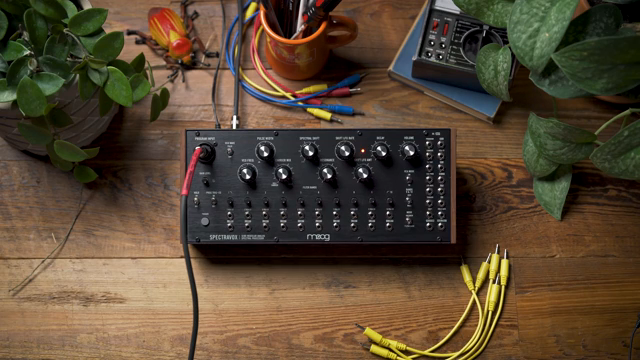 Spectravox as an open-ended guitar signal processor and modulator.