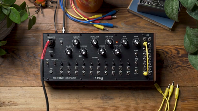 Moog Music Spectravox: Classic Moogerfooger Effects Reimagined for Guitar
