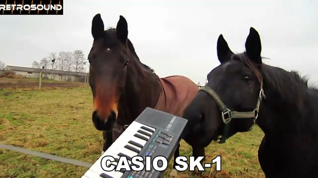 RetroSound’s Time Capsules: The Sonic DNA of 80s Samplers