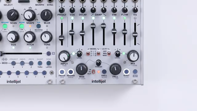 They can be momentarily activated, latched on or externally triggered to add some interesting new flavours to your reverb.