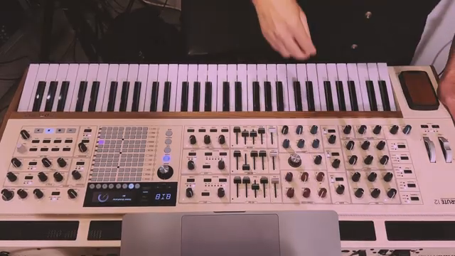 There is a second knob, brute factor, which was not a part of the original Steiner filter, but that Arturi added, which is feedback after…