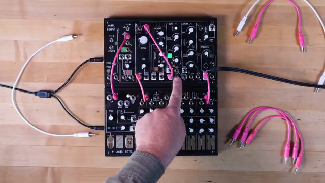 Make Noise 0-Coast ACID: Squelch Without a Filter