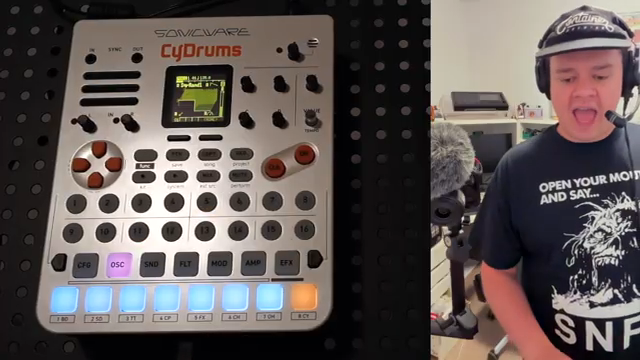 They describe the whole sound sphere, the whole sound palette, I guess, of this thing as 4D.