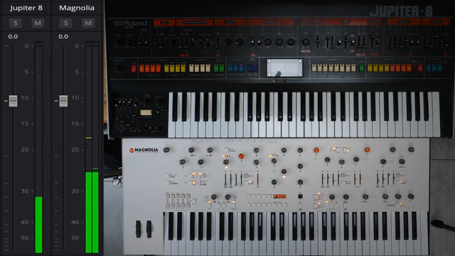 Starsky Carr Throws Down: Jupiter-8 vs Magnolia – Who Actually Wins?